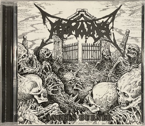 Remains angels burned - -,