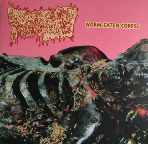 Purulent remains worm eaten - remains,