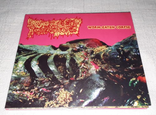 Purulent remains worm eaten - remains, worm-eaten
